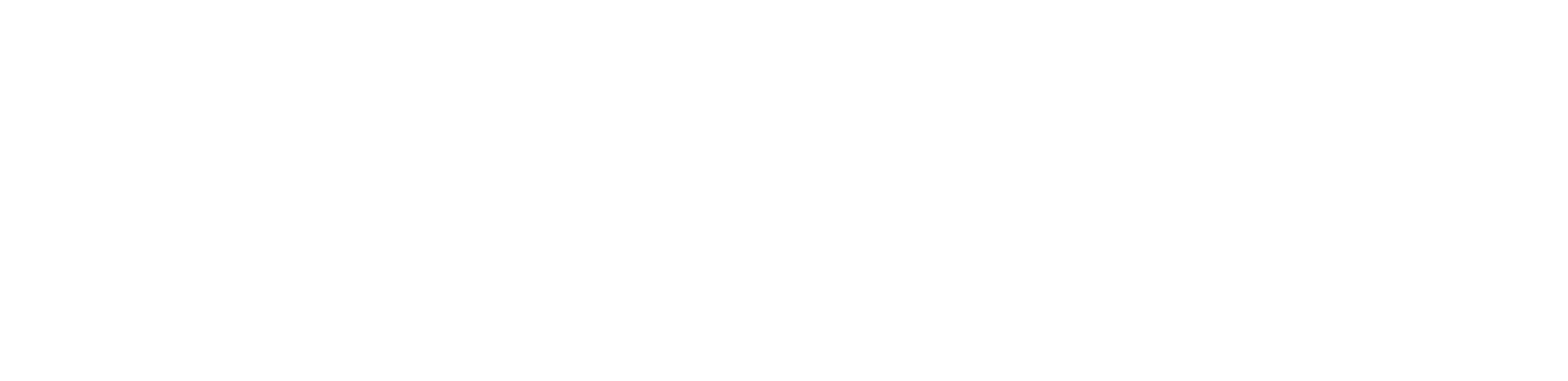 StandardWise Logo